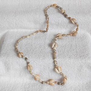 Real Fully Intact 35" Polished Seashell Necklace Fashion Piece Without Clasp!!